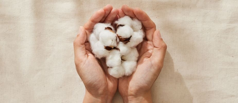 Curiosidades sobre a produção do algodão