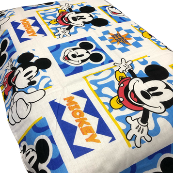 357x357 fronha mickey perspective