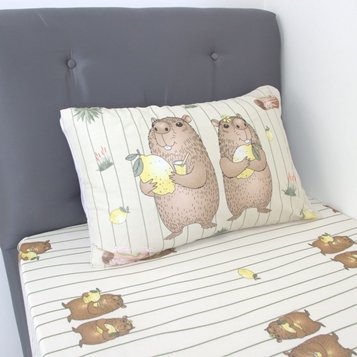 357x357 slt capivara joy