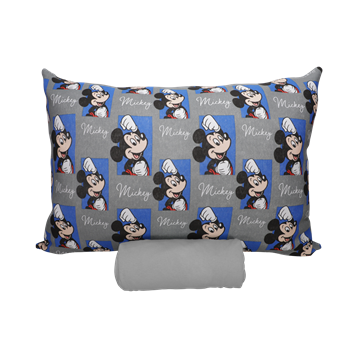 357x357 jg solt mickey quadros